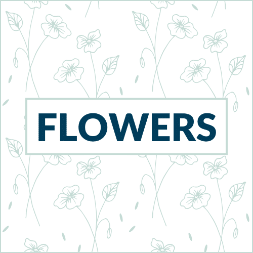 Flower coloring pages